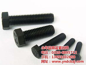 福建鼎晨緊固件 專注提供優(yōu)質(zhì)10.9級高強(qiáng)度螺栓的專業(yè)商家