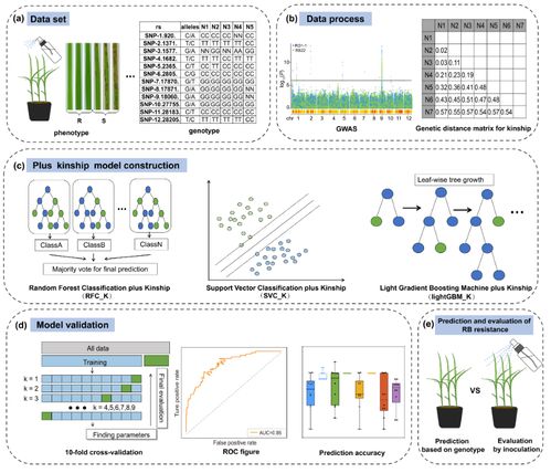 智能育種新突破 AI模型精準(zhǔn)篩選抗病種子，數(shù)字化技術(shù)引領(lǐng)農(nóng)業(yè)革新