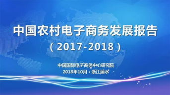 中國(guó)農(nóng)村電子商務(wù)發(fā)展報(bào)告 農(nóng)村網(wǎng)絡(luò)零售額破萬億，電子商務(wù)信息咨詢開啟最后一片藍(lán)海